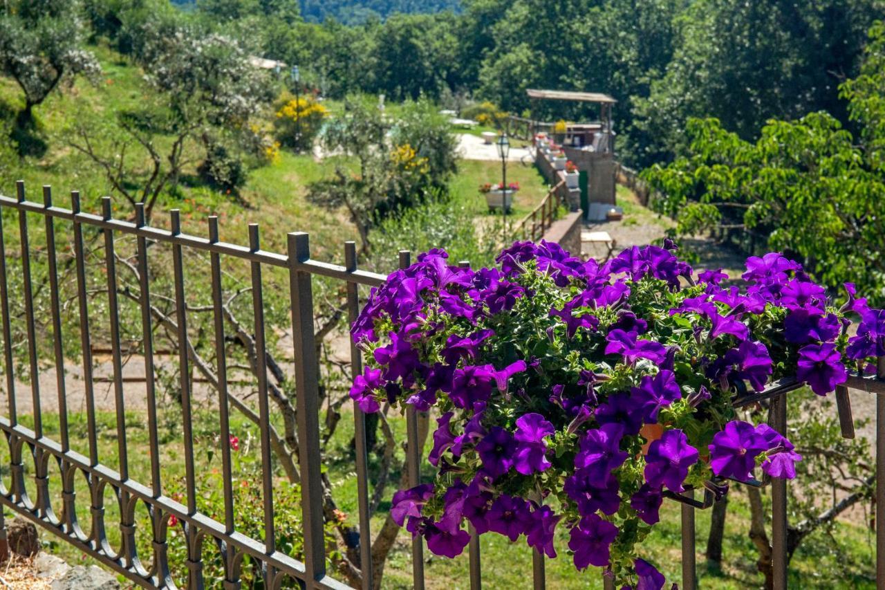 Podere Figlinelle Starda 외부 사진